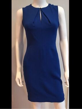Formal Blue Dress Donna Morgan